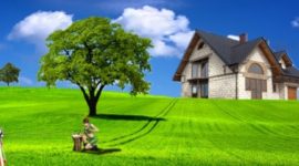 Где и как получить межевой план земельного участка?